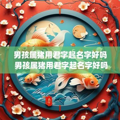 男孩属猪用君字起名字好吗 男孩属猪用君字起名字好吗