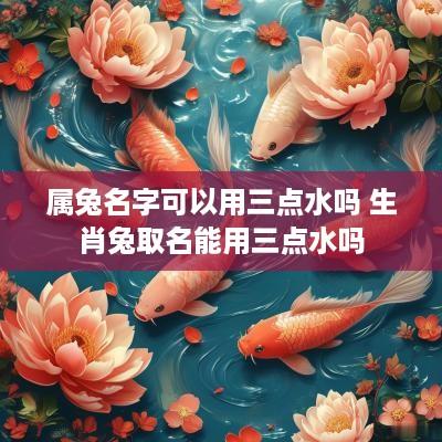 属兔名字可以用三点水吗 生肖兔取名能用三点水吗