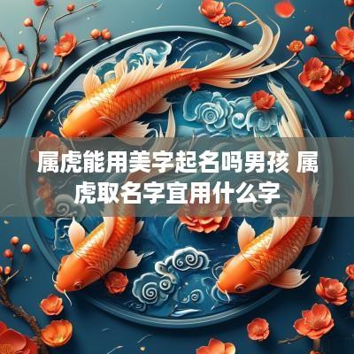 属虎能用美字起名吗男孩 属虎取名字宜用什么字