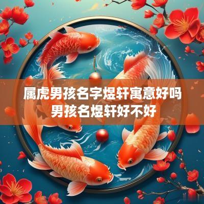 属虎男孩名字煜轩寓意好吗 男孩名煜轩好不好