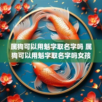 属狗可以用魁字取名字吗 属狗可以用魁字取名字吗女孩