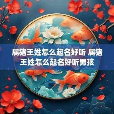 属猪王姓怎么起名好听 属猪王姓怎么起名好听男孩