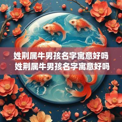 姓荆属牛男孩名字寓意好吗 姓荆属牛男孩名字寓意好吗