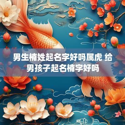 男生楠姓起名字好吗属虎 给男孩子起名楠字好吗