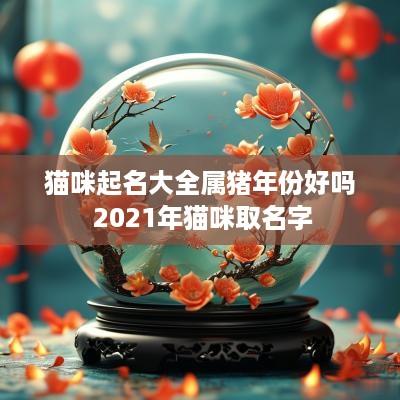 猫咪起名大全属猪年份好吗 2025年猫咪取名字