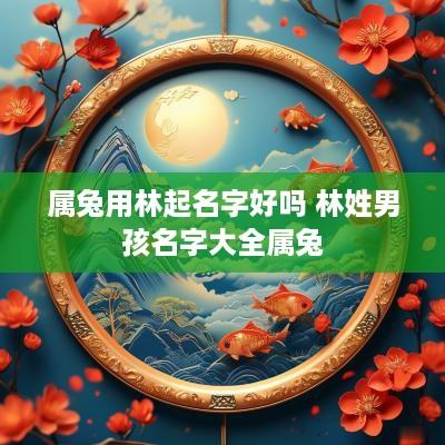 属兔用林起名字好吗 林姓男孩名字大全属兔
