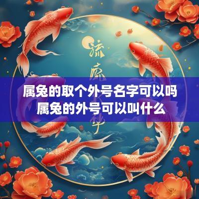 属兔的取个外号名字可以吗 属兔的外号可以叫什么