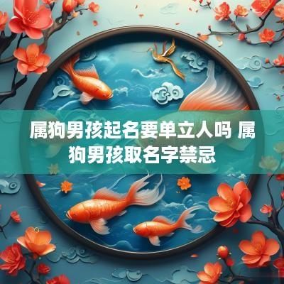 属狗男孩起名要单立人吗 属狗男孩取名字禁忌