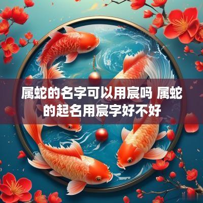 属蛇的名字可以用宸吗 属蛇的起名用宸字好不好