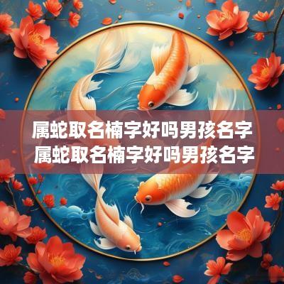 属蛇取名楠字好吗男孩名字 属蛇取名楠字好吗男孩名字叫什么