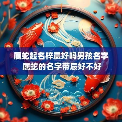属蛇起名梓晨好吗男孩名字 属蛇的名字带辰好不好