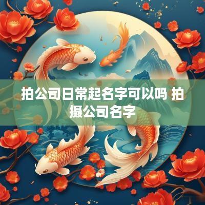 拍公司日常起名字可以吗 拍摄公司名字