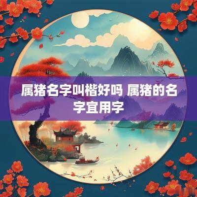 属猪名字叫楷好吗 属猪的名字宜用字
