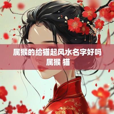 属猴的给猫起风水名字好吗 属猴 猫