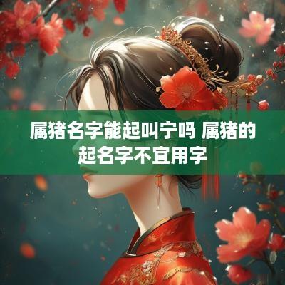 属猪名字能起叫宁吗 属猪的起名字不宜用字