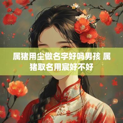 属猪用尘做名字好吗男孩 属猪取名用宸好不好