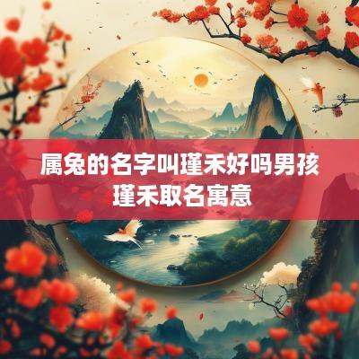 属兔的名字叫瑾禾好吗男孩 瑾禾取名寓意
