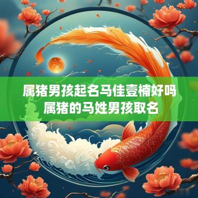属猪男孩起名马佳壹楠好吗 属猪的马姓男孩取名
