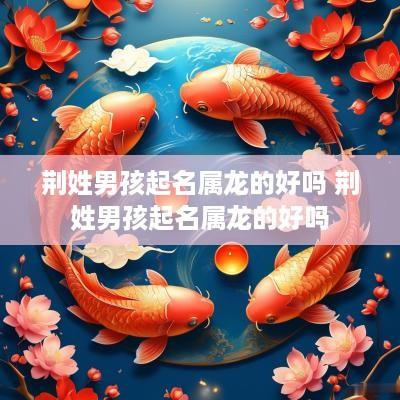 荆姓男孩起名属龙的好吗 荆姓男孩起名属龙的好吗