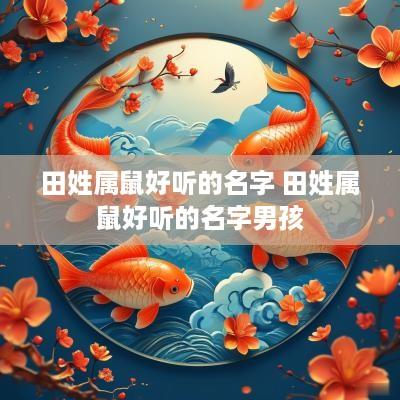 田姓属鼠好听的名字 田姓属鼠好听的名字男孩