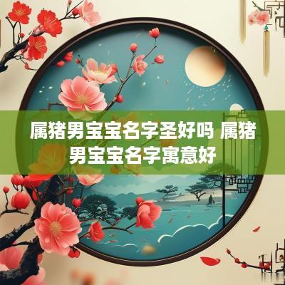 属猪男宝宝名字圣好吗 属猪男宝宝名字寓意好