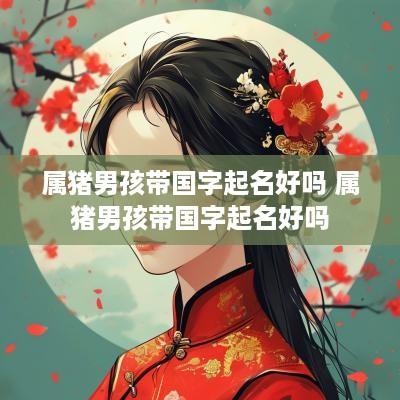 属猪男孩带国字起名好吗 属猪男孩带国字起名好吗