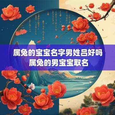 属兔的宝宝名字男姓吕好吗 属兔的男宝宝取名