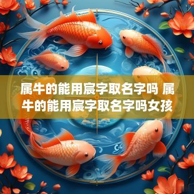 属牛的能用宸字取名字吗 属牛的能用宸字取名字吗女孩
