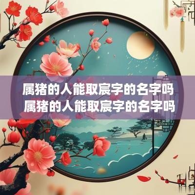 属猪的人能取宸字的名字吗 属猪的人能取宸字的名字吗好吗