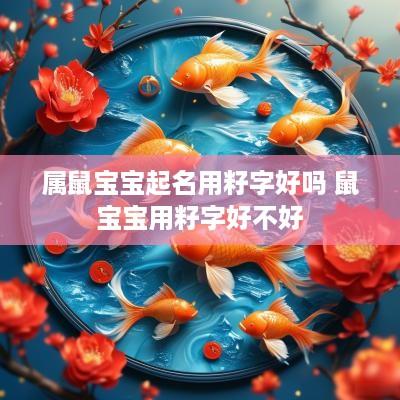 属鼠宝宝起名用籽字好吗 鼠宝宝用籽字好不好