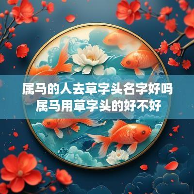 属马的人去草字头名字好吗 属马用草字头的好不好