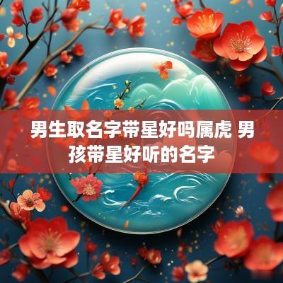 男生取名字带星好吗属虎 男孩带星好听的名字