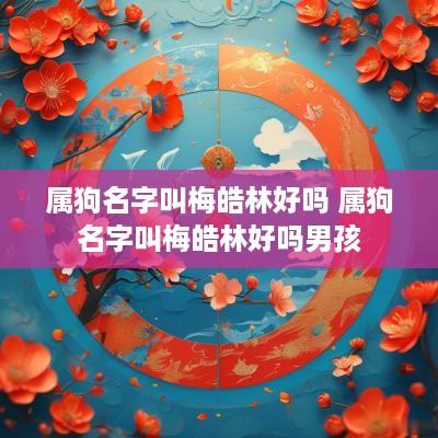 属狗名字叫梅皓林好吗 属狗名字叫梅皓林好吗男孩