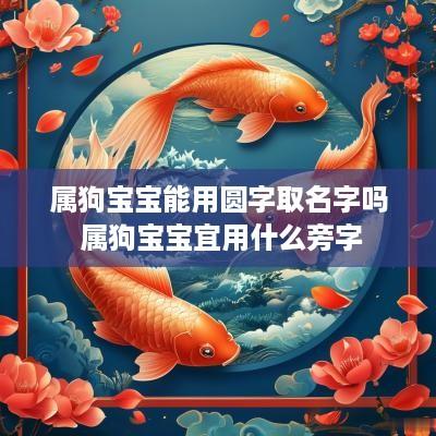 属狗宝宝能用圆字取名字吗 属狗宝宝宜用什么旁字