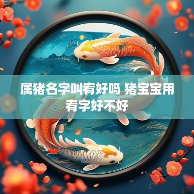 属猪名字叫宥好吗 猪宝宝用宥字好不好