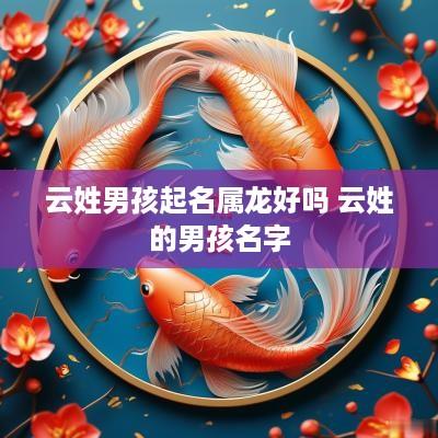 云姓男孩起名属龙好吗 云姓的男孩名字