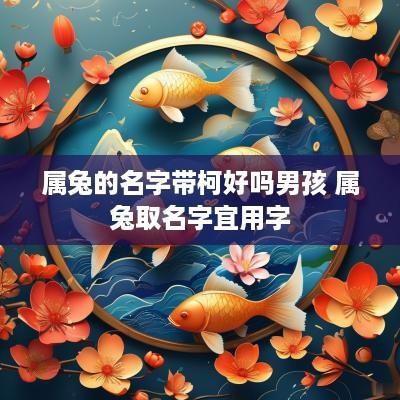 属兔的名字带柯好吗男孩 属兔取名字宜用字
