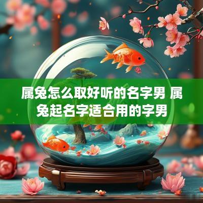 属兔怎么取好听的名字男 属兔起名字适合用的字男