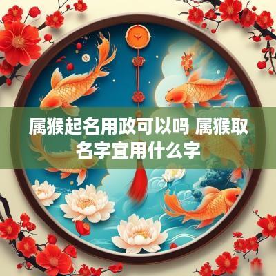 属猴起名用政可以吗 属猴取名字宜用什么字