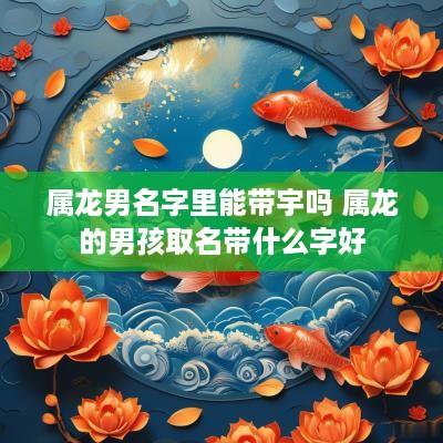 属龙男名字里能带宇吗 属龙的男孩取名带什么字好