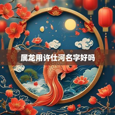 属龙用许仕河名字好吗