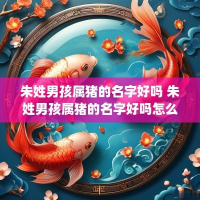 朱姓男孩属猪的名字好吗 朱姓男孩属猪的名字好吗怎么取