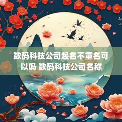数码科技公司起名不重名可以吗 数码科技公司名称