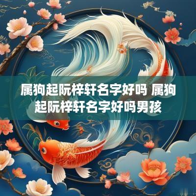 属狗起阮梓轩名字好吗 属狗起阮梓轩名字好吗男孩
