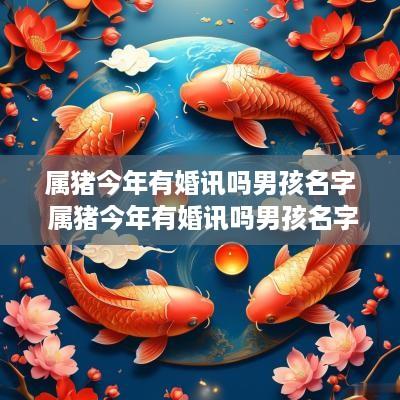 属猪今年有婚讯吗男孩名字 属猪今年有婚讯吗男孩名字大全