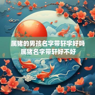 属猪的男孩名字带轩字好吗 属猪名字带轩好不好