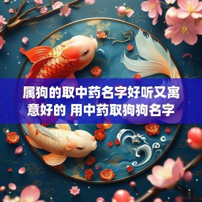 属狗的取中药名字好听又寓意好的 用中药取狗狗名字