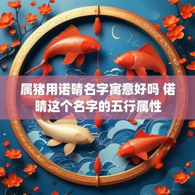 属猪用诺晴名字寓意好吗 偌晴这个名字的五行属性