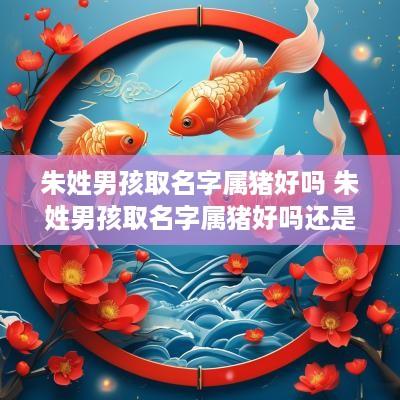 朱姓男孩取名字属猪好吗 朱姓男孩取名字属猪好吗还是属兔