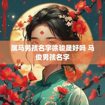 属马男孩名字徐骏晟好吗 马俊男孩名字